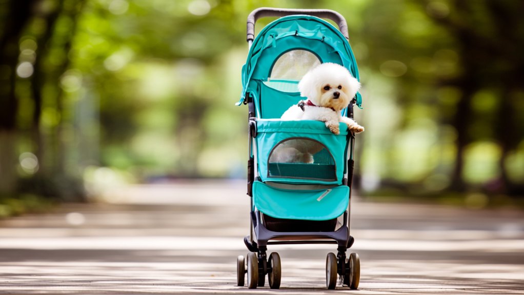 affordable small dog strollers