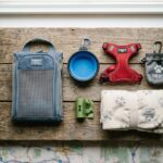essential gear for small dogs