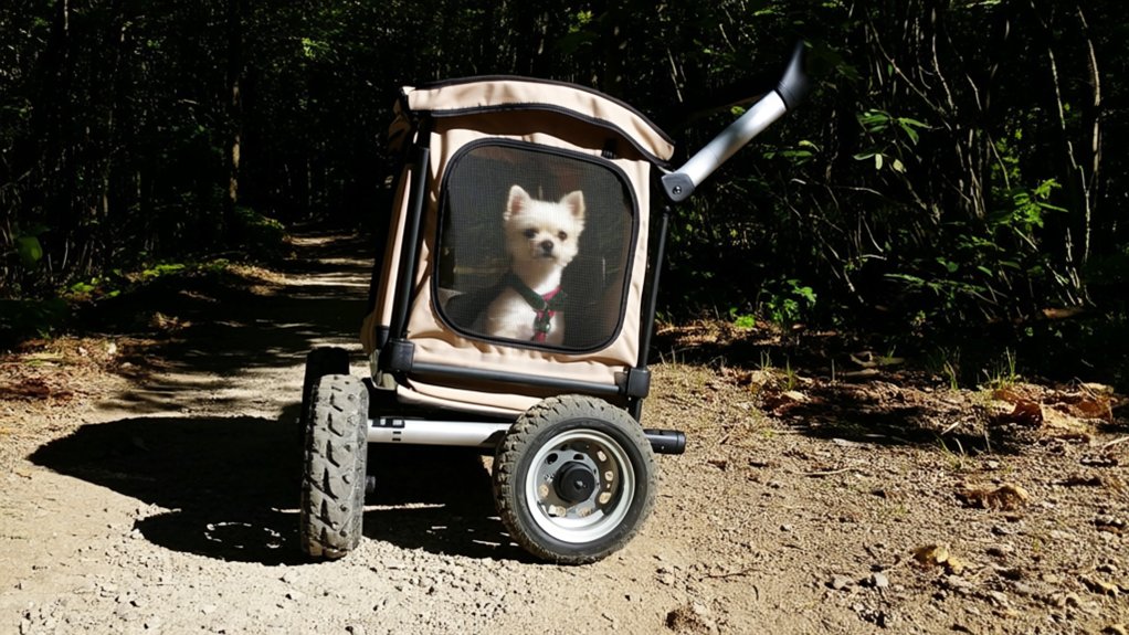 mighty adventures for small dogs