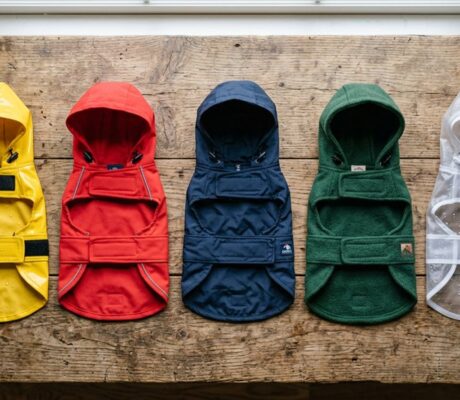 miniature dog rain jackets