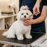 regular grooming schedule needed